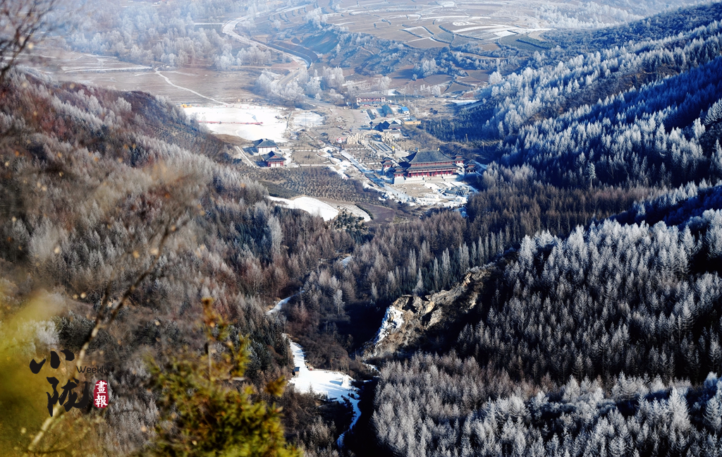 小隴畫(huà)報(bào)|甘肅渭源霧?。河駱?shù)瓊花靚山野（82期）