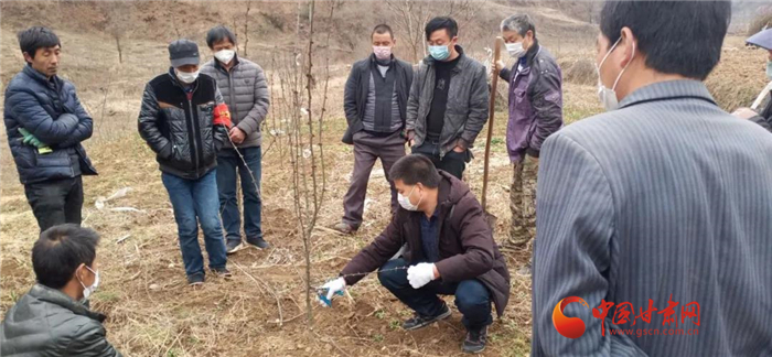 【甘肅全民戰(zhàn)“疫”】隴南徽縣：花椒田里培訓忙，戰(zhàn)疫春耕兩不誤