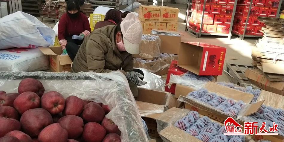 天水“花牛”最近有點(diǎn)“?！?>
        </a><em>天水“花牛”最近有點(diǎn)“?！?/em></li>
    <li><a  target=