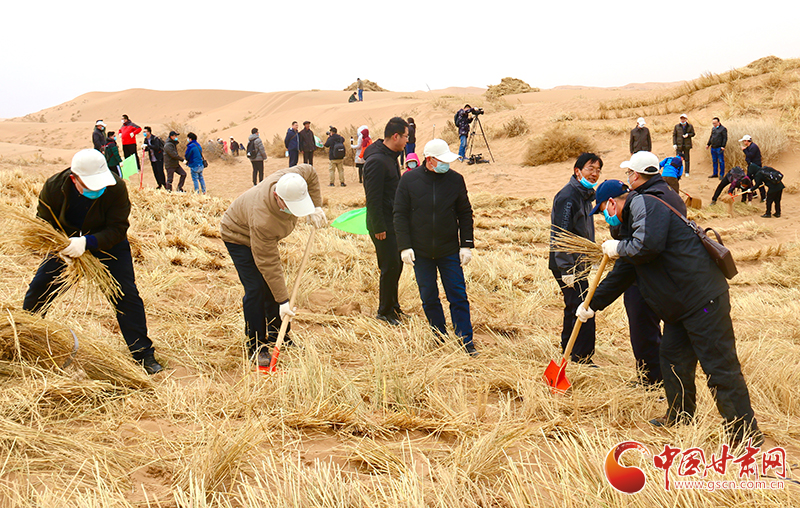 不“疫”樣的植樹節(jié)！甘肅省新聞戰(zhàn)線工作者攜手播綠“八步沙”（圖+視頻）