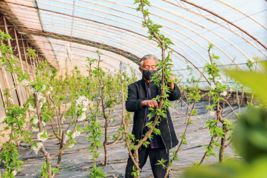 銅城復(fù)蘇：春光明媚，邀你共賞芳華（組圖）