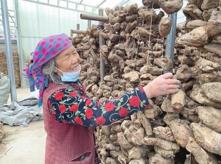 隴南：特色產業(yè)托起致富夢