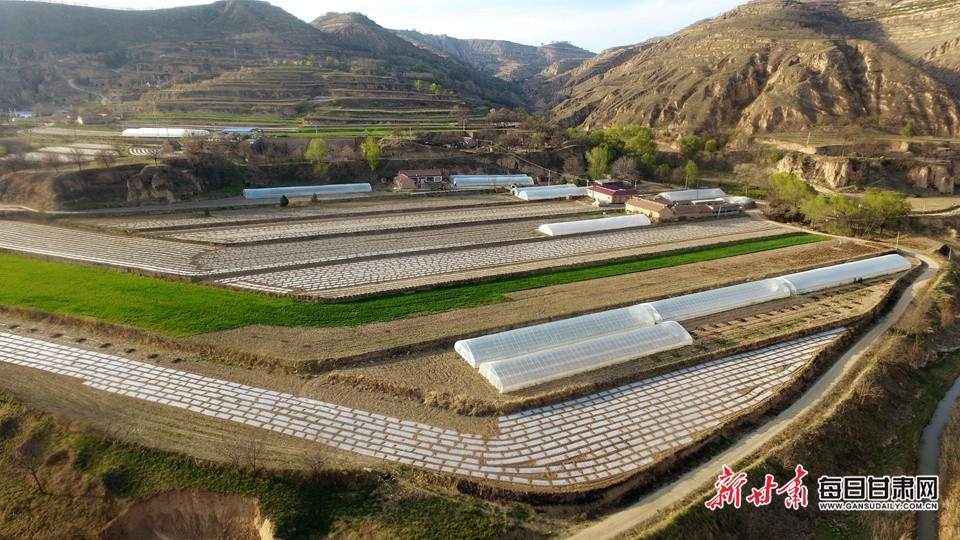 【決戰(zhàn)決勝脫貧攻堅(jiān)看慶陽】慕明軍的“脫貧經(jīng)”