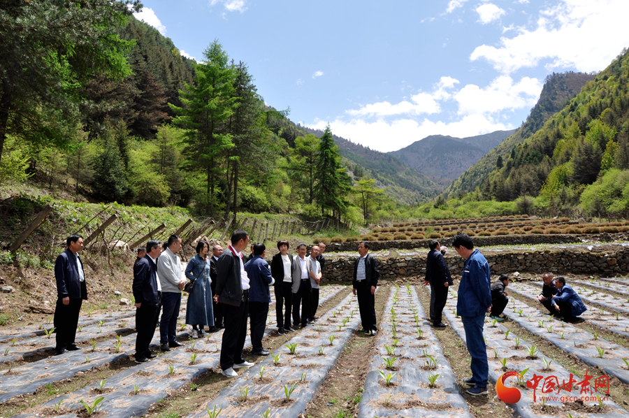 白龍江博峪河保護(hù)局開展產(chǎn)業(yè)發(fā)展、義務(wù)勞動(dòng)成果現(xiàn)場(chǎng)觀摩交流活動(dòng)