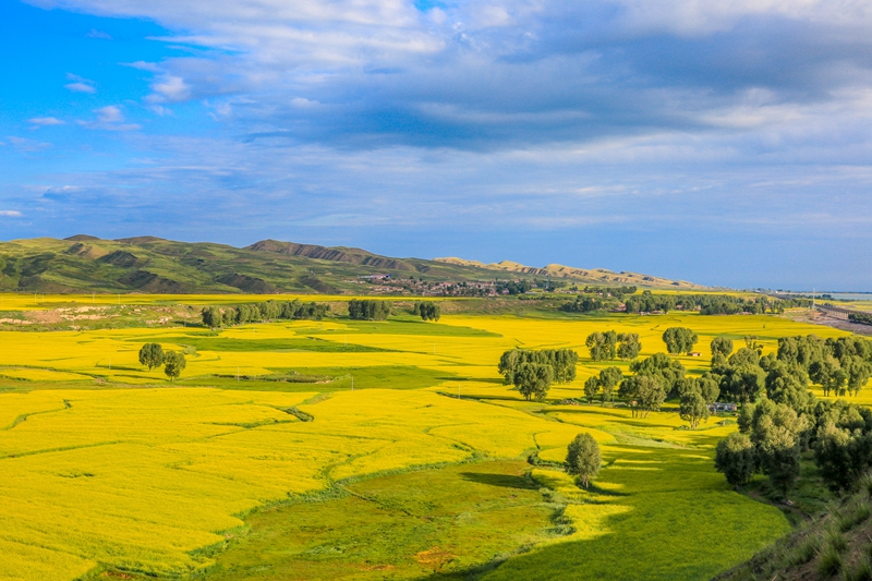 創(chuàng)意海報(bào)丨甘肅的美，你來了才知道