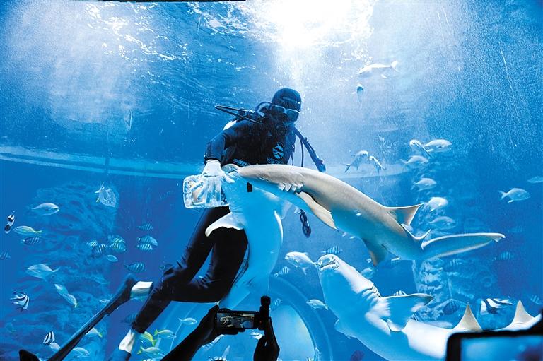 蘭州海洋公園 金昌火星1號(hào)基地 這個(gè)暑假我們“上天入?！?>
        </a><em>蘭州海洋公園 金昌火星1號(hào)基地 這個(gè)暑假我們“上天入海”</em></li>
    <li><a  target=