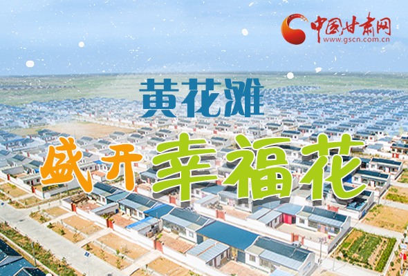 【跟著總書記看甘肅】長圖|武威黃花灘盛開幸?；?