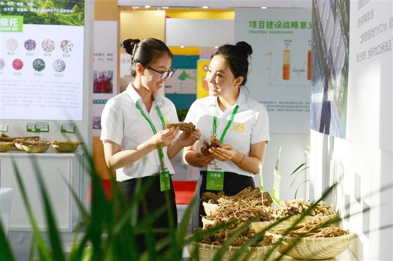 定西，從“千年藥鄉(xiāng)”邁向“中國藥都”