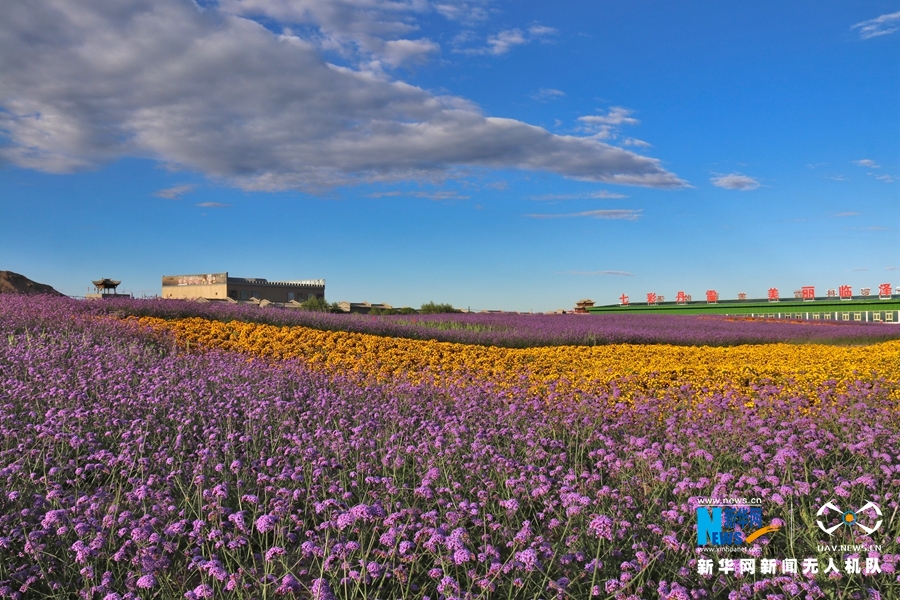【“飛閱”中國(guó)】鳳凰花?！罢钩帷钡は伎?>
        </a><em>【“飛閱”中國(guó)】鳳凰花?！罢钩帷钡は伎?/em></li>
    <li><a  target=