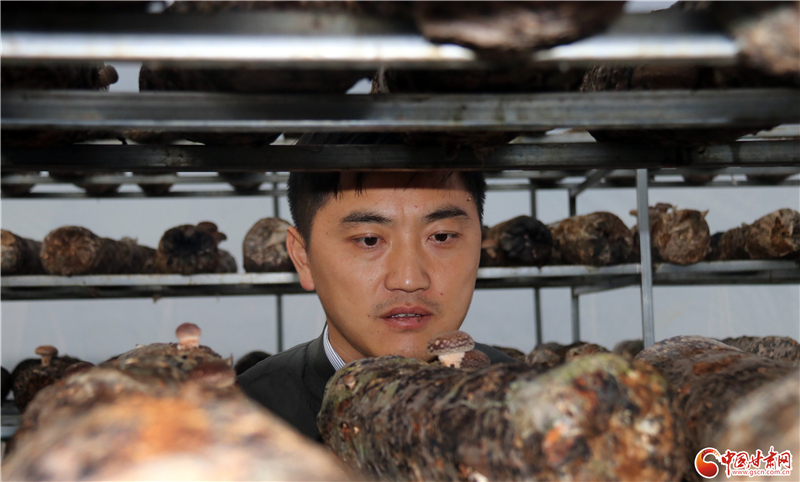 110年！何家溝村終于有了集體經濟——中建二局黨建結對幫扶成效顯著