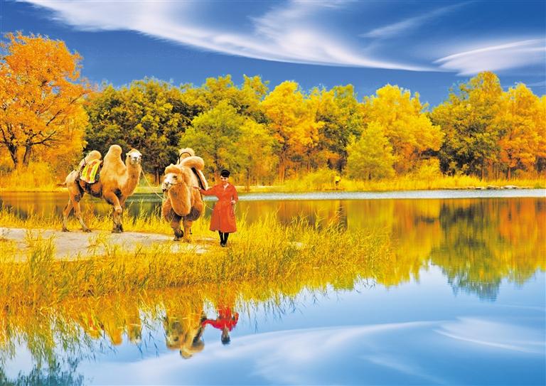 國(guó)慶長(zhǎng)假，去金塔遇見(jiàn)最美胡楊