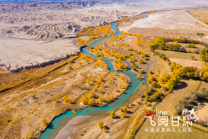 【飛閱甘肅】好美！疏勒河畔大地斑斕