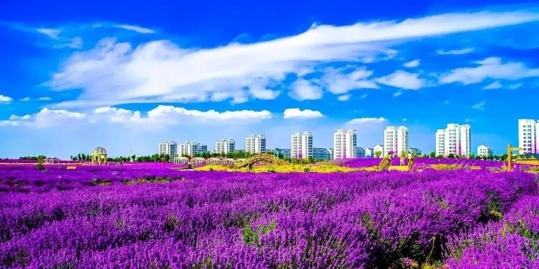 喜訊！金昌蟬聯(lián)全國文明城市