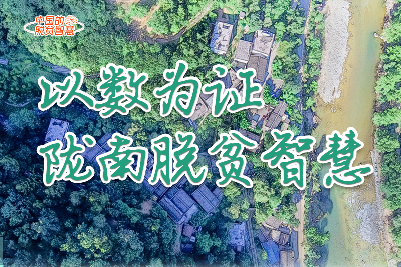 【中國的脫貧智慧】以數(shù)為證！隴南脫貧智慧來了！