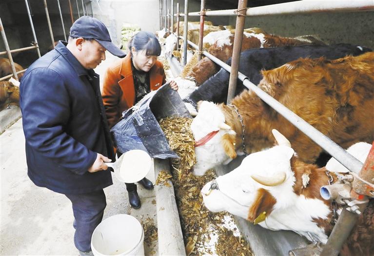 我和我的家鄉(xiāng)丨定西臨洮縣黨家墩村：“?！碑a(chǎn)業(yè)帶來“?！比兆?>
        </a><em>我和我的家鄉(xiāng)丨定西臨洮縣黨家墩村：“?！碑a(chǎn)業(yè)帶來“?！比兆?/em></li>
    <li><a  target=