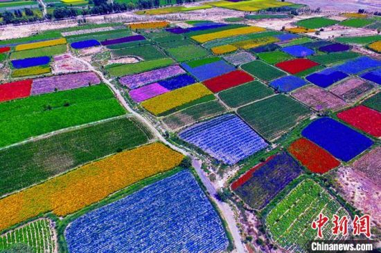 甘肅酒泉：除了天時(shí)地利，還有一“種”力