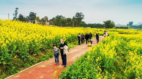 游客在花海里踏青。廖濤 攝