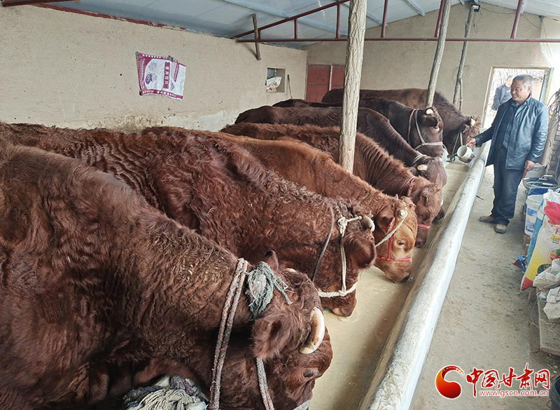 平?jīng)鰶艽ǎ骸芭！碑a(chǎn)業(yè)鋪就致富路