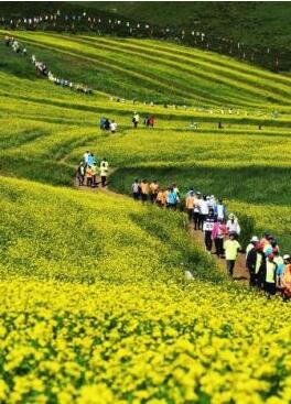 甘肅明確農民進城落戶:不以退出承包地、林地等為條件