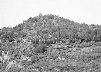 歷史眼丨張果老是正寧人？他與甘肅福緣不淺