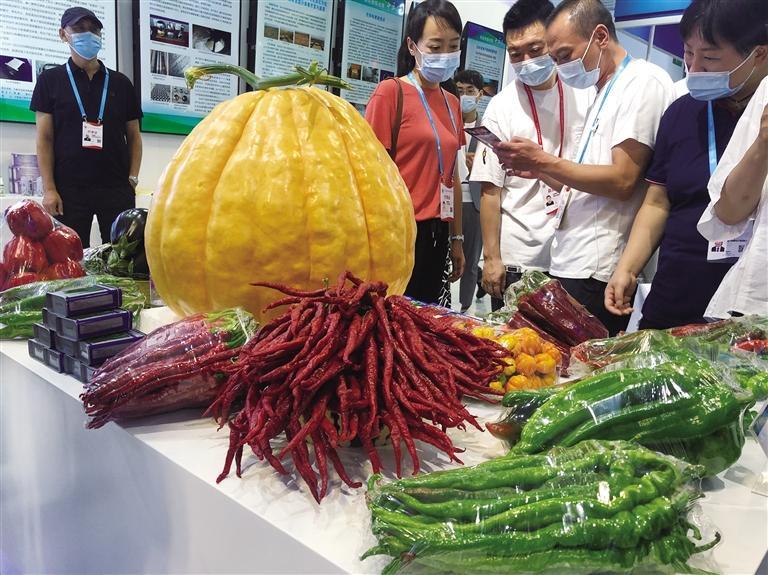 第二十七屆蘭洽會實現(xiàn)“線上+線下”全面展示“地道甘味”散發(fā)獨特魅力