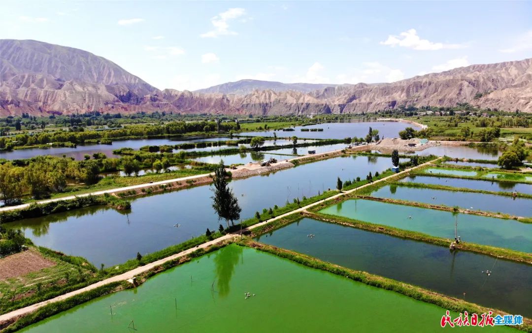 一秒入畫！太極島濕地風(fēng)光秀麗