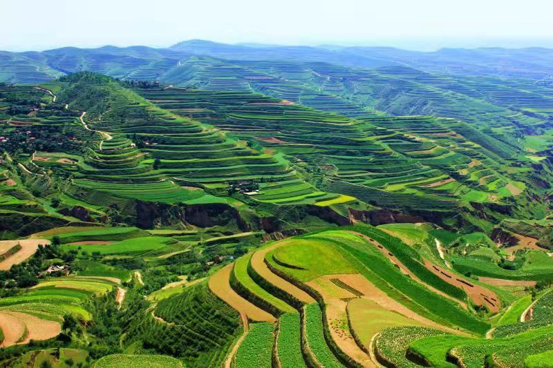 追趕進位，跑好脫貧后的“第一棒”——定西市委書記戴超談“后脫貧”時代定西高質量發(fā)展