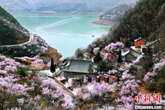 甘肅平?jīng)鍪惺侵袊鴥?yōu)秀旅游城市。圖為平?jīng)鲠轻忌较率锾一ㄊ㈤_。(資料圖) 平?jīng)鍪形麄鞑抗﹫D