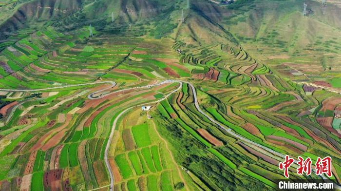 秋日里，榆中縣馬坡鄉(xiāng)千畝梯田，不同農(nóng)作物漸趨成熟，呈現(xiàn)出多種色彩，宛若大地的“調(diào)色盤(pán)”?！圆?攝