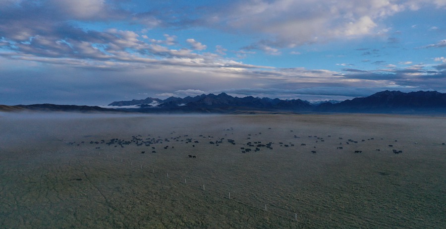 甘肅山丹馬場：峽谷云霧似仙境。 王超攝