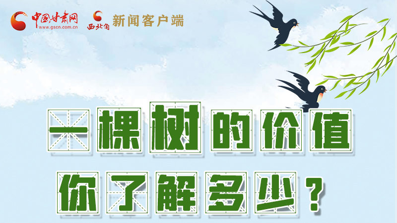 圖解|一棵樹的價(jià)值你了解多少?來看！