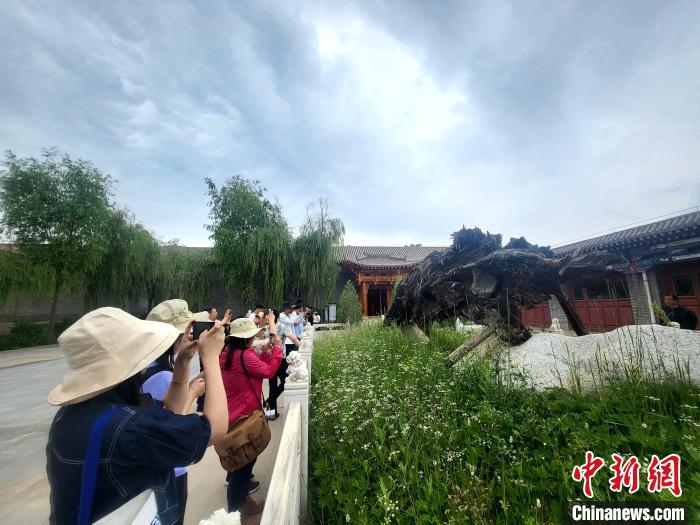 圖為媒體記者在青海永錄民俗參觀采訪?！⊙Φ?攝