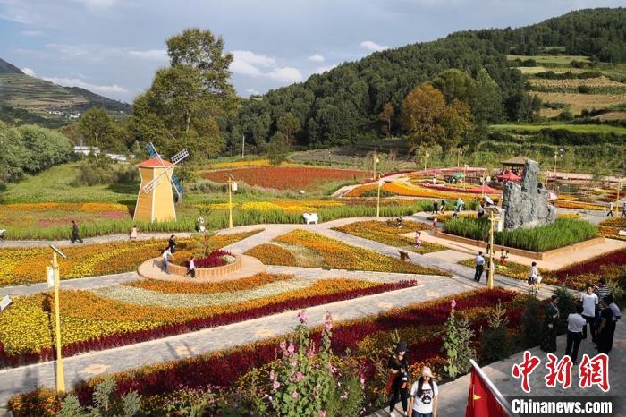 圖為航拍甘肅甘南臨潭縣八角鎮(zhèn)，花海吸引游人。(資料圖)高展 攝