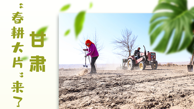 【甘快看】海報(bào)|瞧！甘肅“春耕大片”來了