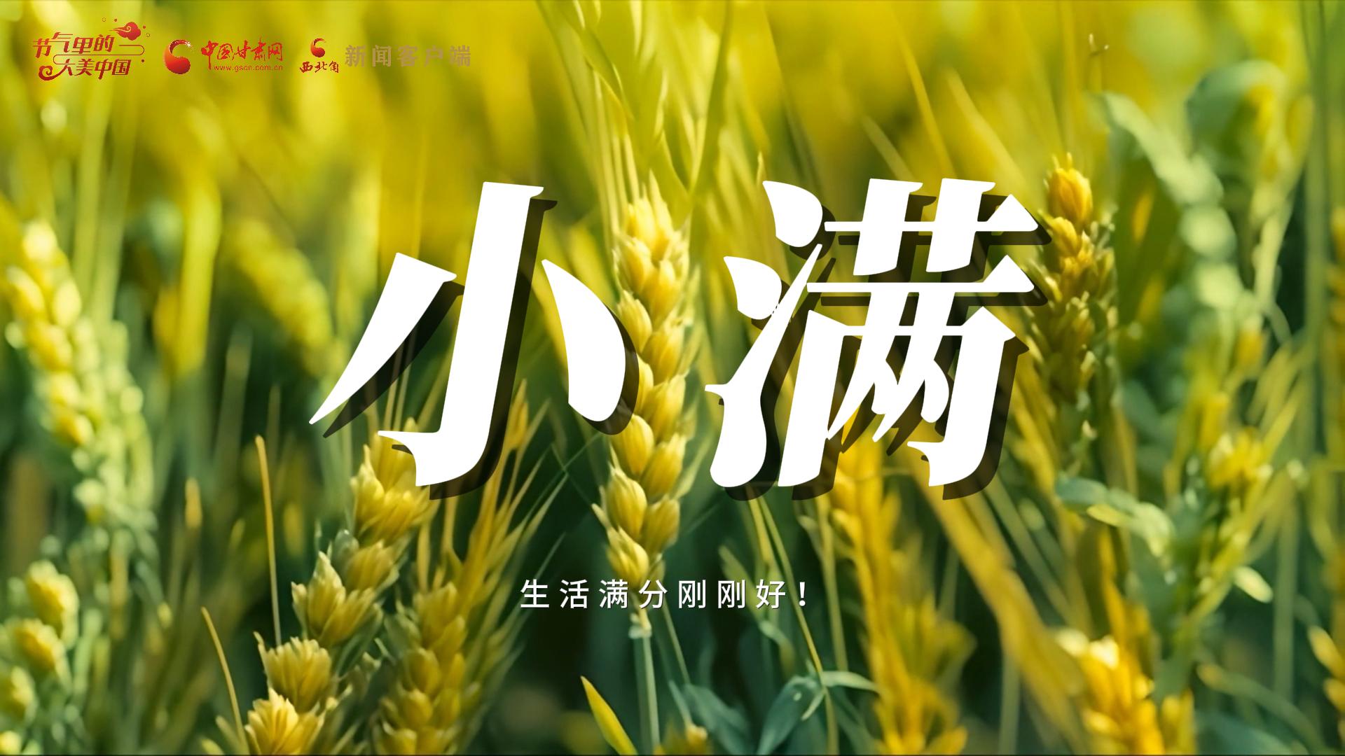 【節(jié)氣里的大美甘肅·小滿】生活滿分剛剛好！