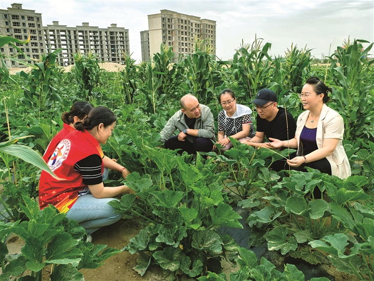 1724021732913370.jpg W020240818235988380097.jpg