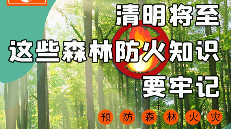 【甘快看】圖解|緊繃“安全弦”！清明，這些森林防火知識要牢記