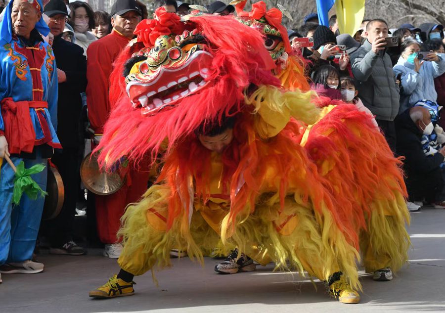 蘭州北獅表演現(xiàn)場(chǎng)。受訪者供圖